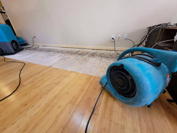 Professional Burst Pipe Water Damage technician working in Forest Hill, MD